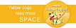 Yellow Dog Logo